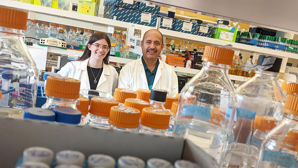 When the coronavirus pandemic struck, Nebraska's Katherine LaTourrette (left) and her doctoral adviser, Hernan Garcia-Ruiz, were busy researching plant viruses. The lab responded by turning its analytical tools to the study of betacoronaviruses, which include the COVID-19-causing SARS-CoV-2. 