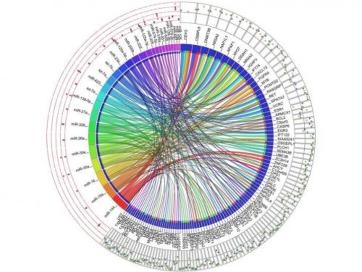 Data and Life Sciences Core, University of Nebraska Lincoln