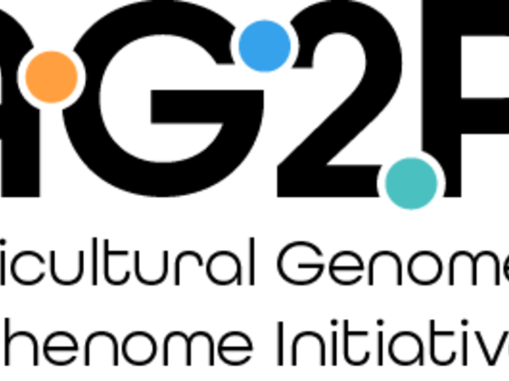 Agricultural Genome to Phenome Initiative logo